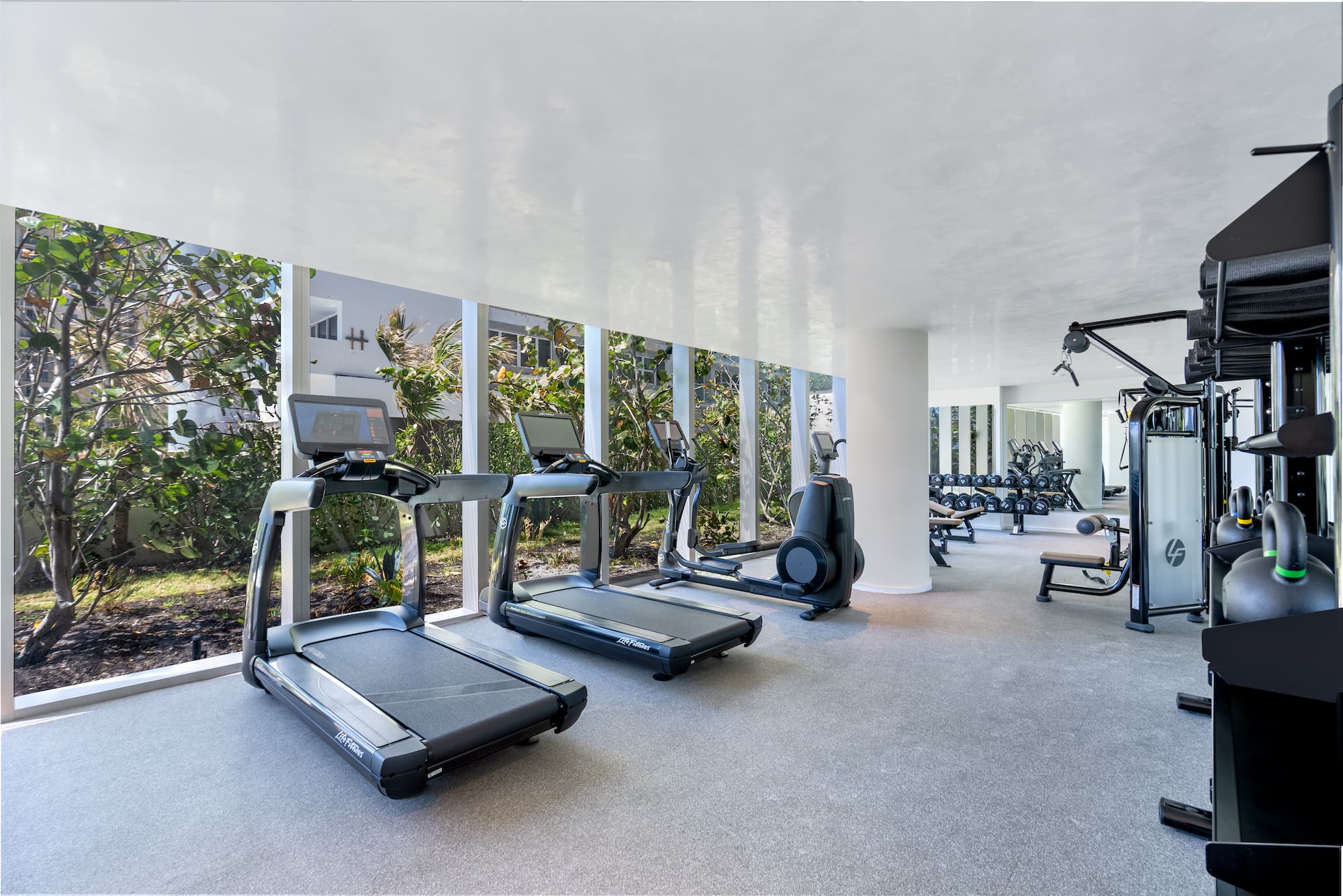 Gallery image 7